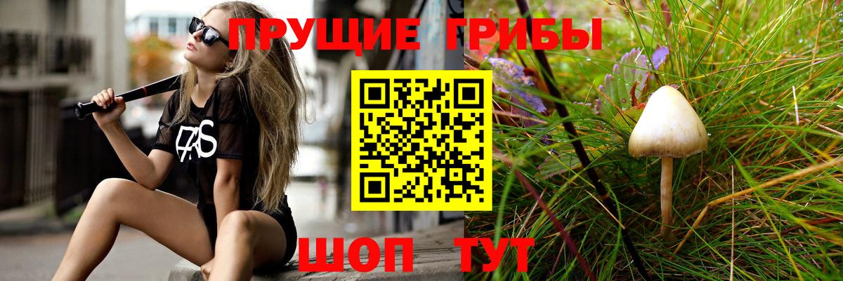 Похвистнево  Псилоцибиновые грибы мухоморы  Псилоцибиновые грибы Psilocybine cubensis  Вход с VPN 