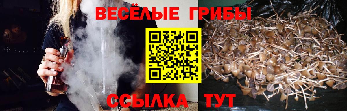 Галлюциногенные грибы мицелий Похвистнево